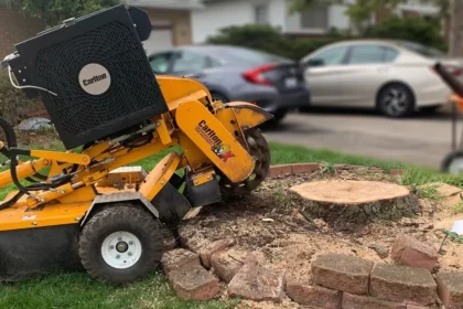 Stump Grinding